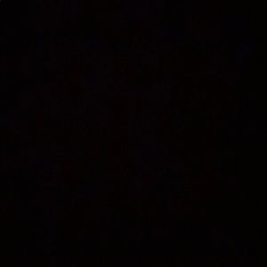 Meet your Posher, Hadli